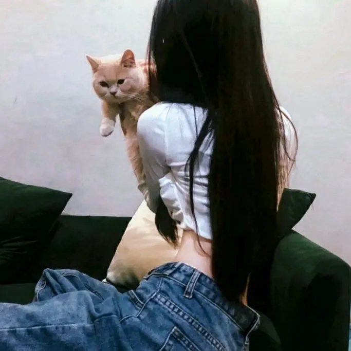 我的小公司